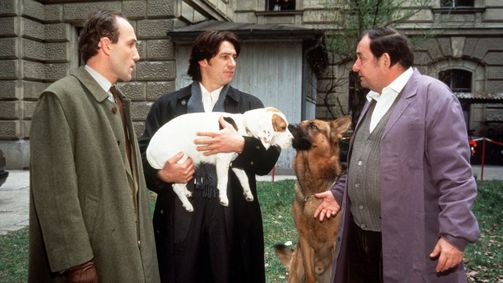 Kommissar Rex Staffel 2 Kommissar Rex Staffel 2 Folge 57: Kult-Serie "Kommissar Rex" (12/15): Tödliche Dosis