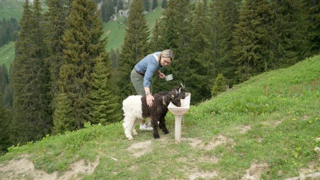Im Tannheimer Tal