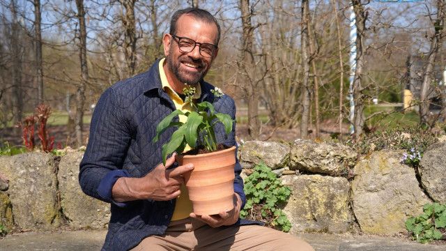 Natur im Garten vom 12.04.2026