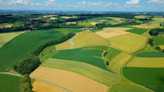 Sprachen der Berge: Die Innviertler Roas