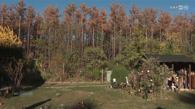 Niederösterreich heute vom 14.10.2026