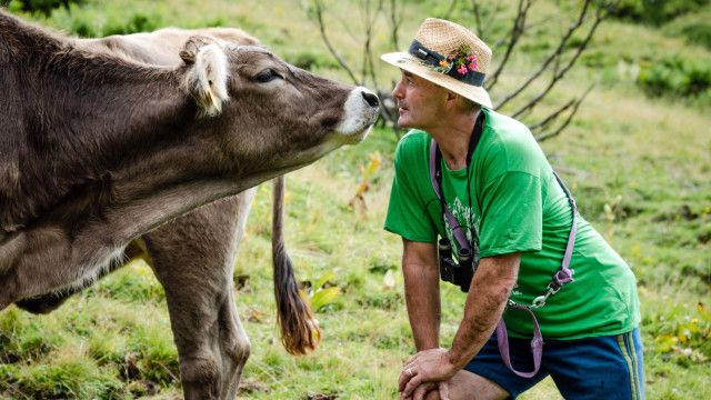 Bergbauernleben: In der Ramsau am Dachstein