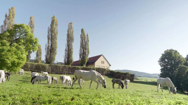 Reisezeit - Österreich: Stainz