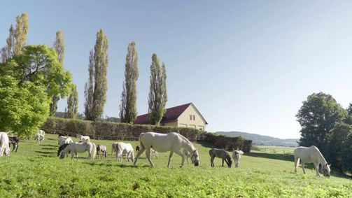 Reisezeit Reisezeit Folge 48: Reisezeit - Österreich: Stainz