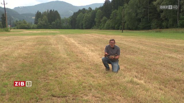 ZIB 1 vom 15.07.2026
