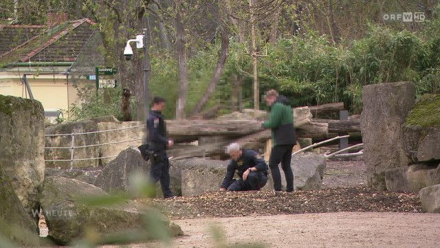 Wien heute vom 31.03.2026