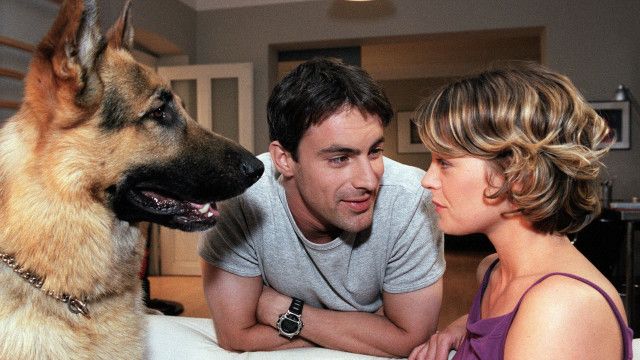 Kult-Serie "Kommissar Rex" (6/15): In letzter Sekunde