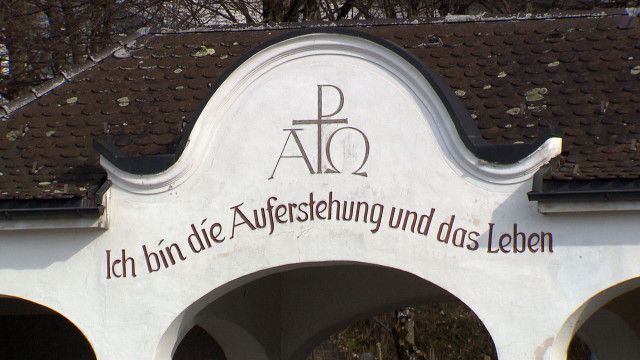 Wenn das Leben neu erwacht - Ein Panoptikum