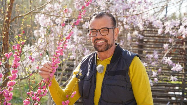 Natur im Garten vom 10.05.2026