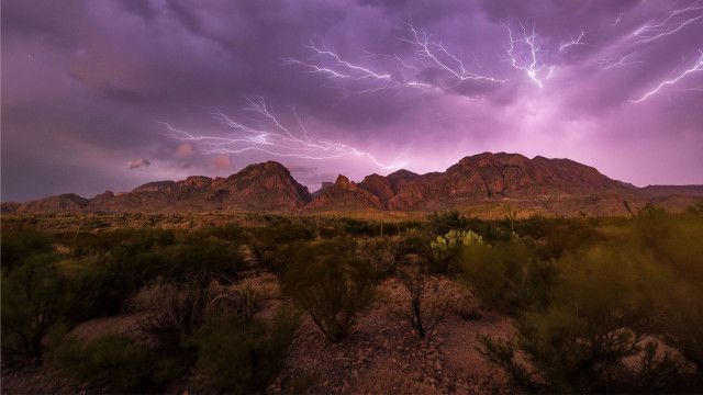Universum: Big Bend - Amerikas wildeste Grenze