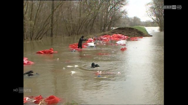 Niederösterreich heute vom 03.04.2026