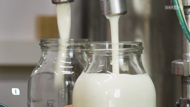 Infos & Tipps: Hofmolkerei