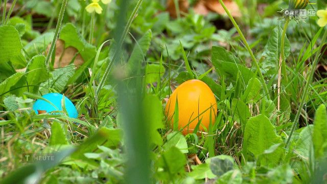Tirol heute vom 05.04.2026