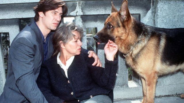 Kult-Serie "Kommissar Rex" (5/12): Annas Geheimnis