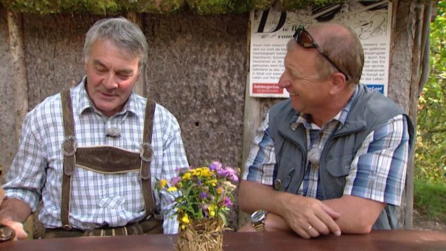 Harrys liabste Hütt'n: Auf dem Salzburger Almenweg (10/10) - Lammertal