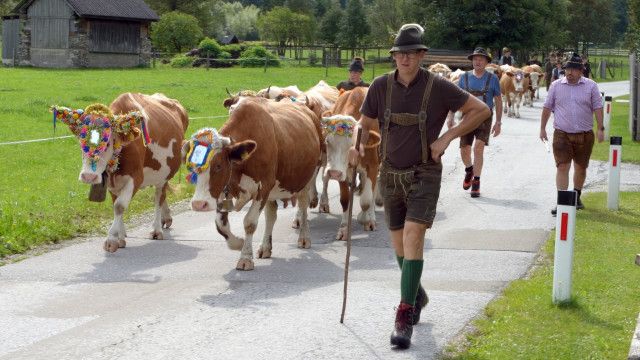 Leben und Almwirtschaft im Naturpark Sölktäler