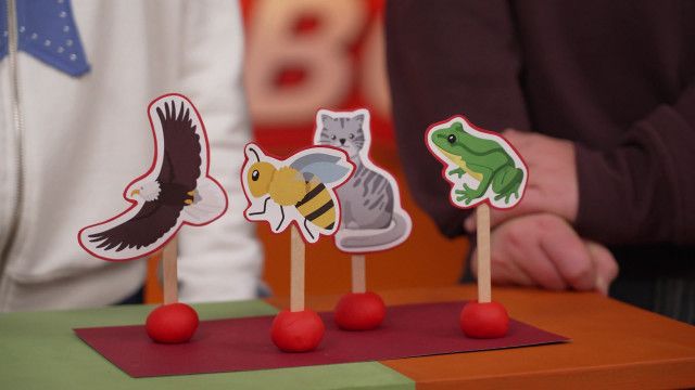 Sport ABC: Buchstabe D