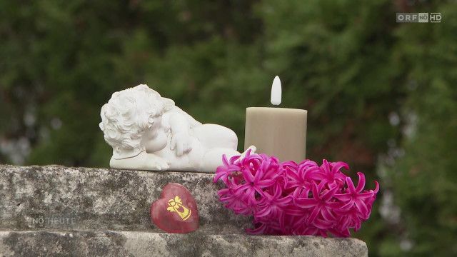 Niederösterreich heute vom 06.04.2026