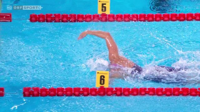 Schwimm-EM Paris 2026: Schwimmen, Highlights vom Dienstag