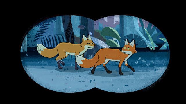 Taylors Welt der Tiere: Operation 'Rotfuchs'