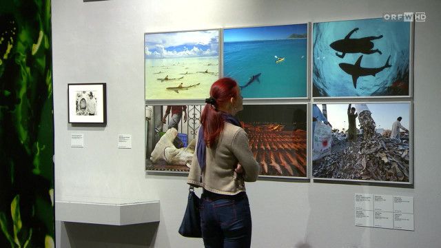 Wohin in Wien? vom 11.04.2026