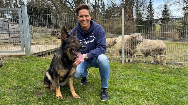 Tierische Augenblicke