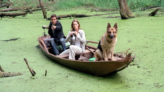 Kult-Serie "Kommissar Rex" (5/15): Das Donaukrokodil