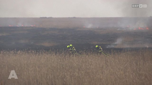 Aktuell nach eins vom 08.10.2026
