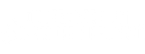 Die Jagd nach dem Schatz der Nibelungen