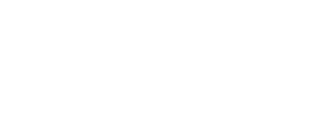 Bikini Car Wash