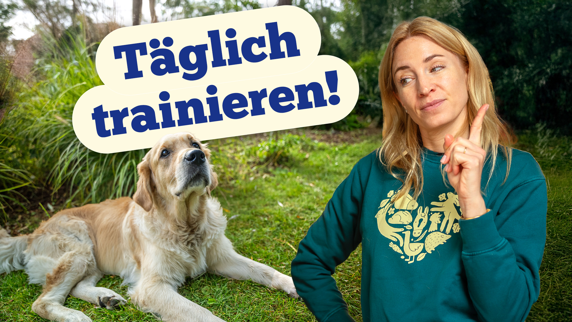 Diese 5 Dinge solltest du TÄGLICH mit deinem Hund trainieren!