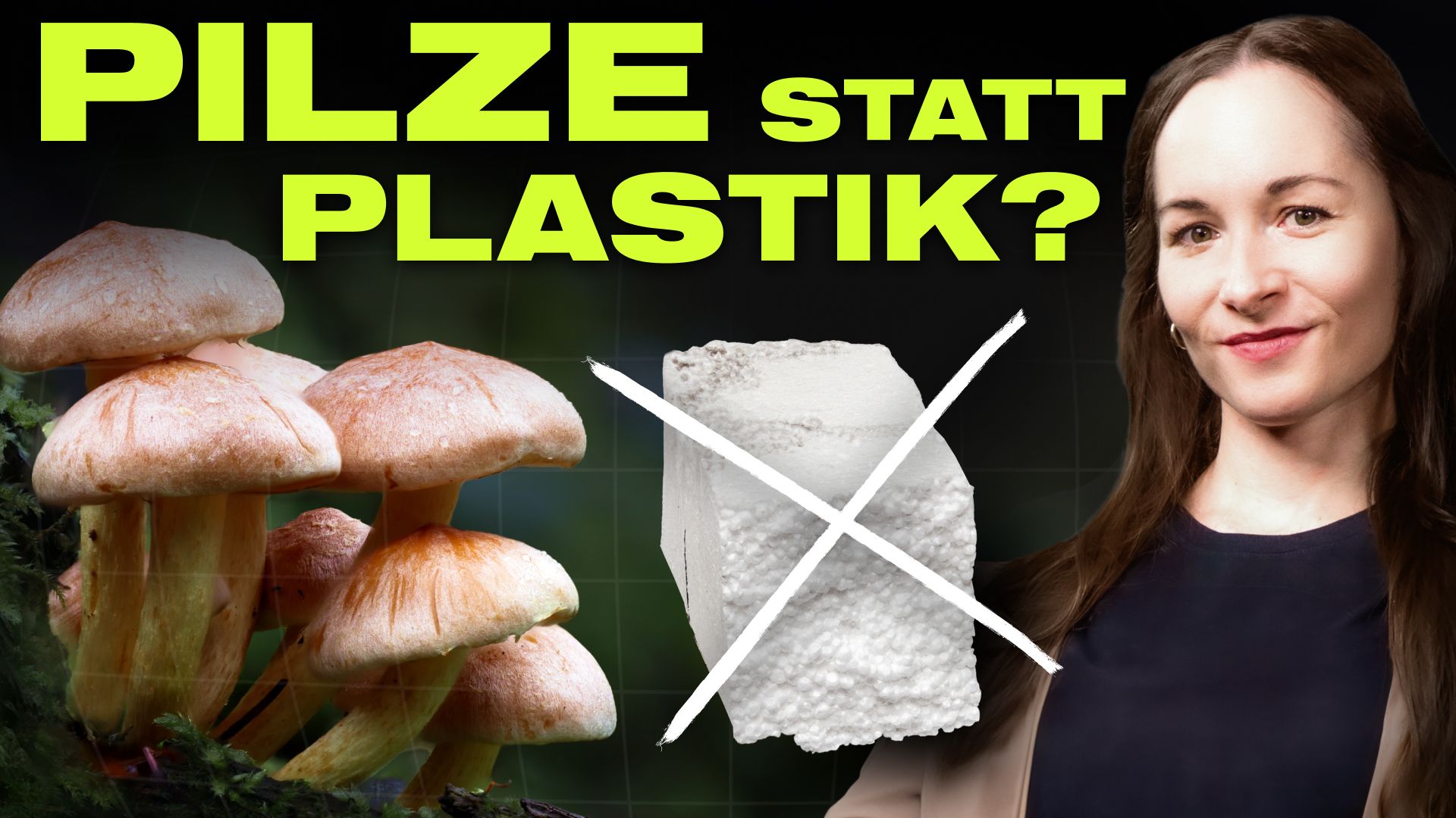 Aus Pilzen gebaut: Das Supermaterial der Zukunft