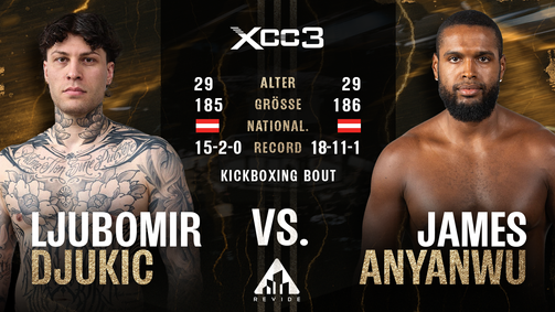 XCC - Xtreme Combat Championship XCC3 Folge 12: K1 - Anyanwu vs. Djukic