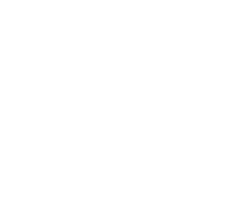 Stars im Ring