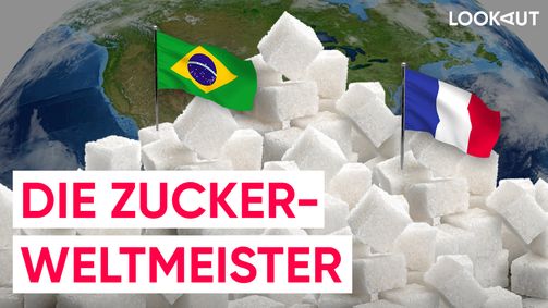 LOOKAUT LOOKAUT Folge 30: Zuckerkonsum: Wer nascht am meisten?