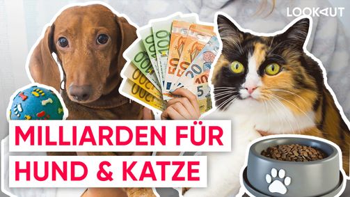 LOOKAUT LOOKAUT Folge 41: Milliardenmarkt Haustiere: So viel Geld steckt dahinter!