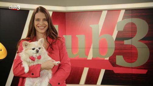 Club 3 Club 3 Folge 21: BEST OF CLUB 3: Skandal-Republik? Österreichs Jahr der Abrechnungen