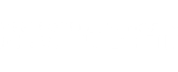 Meerforellenangeln in Ostholstein