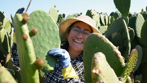 Planet Weltweit Planet Weltweit - Staffel 24 Folge 14: Nopal, der Alleskönner aus Mexiko