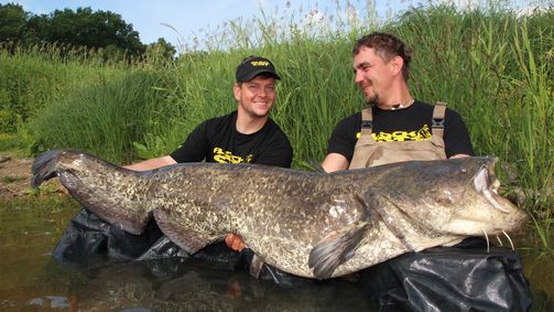 Big River Big River - Staffel 1 Folge 1: Elbe