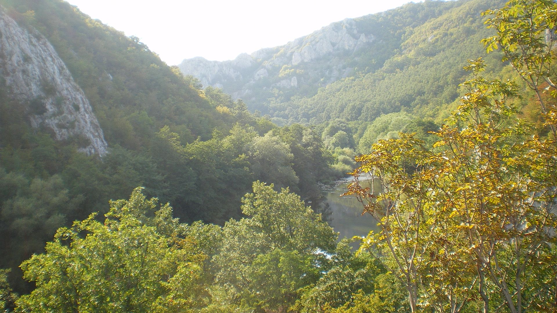Wilde Karpaten