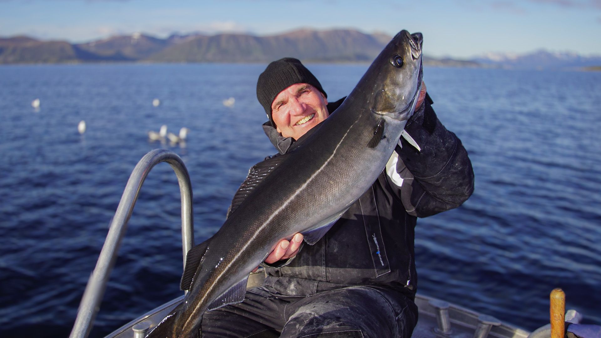 Meeresangeln in Norwegen - Meeresangeln vor den Vesteralen