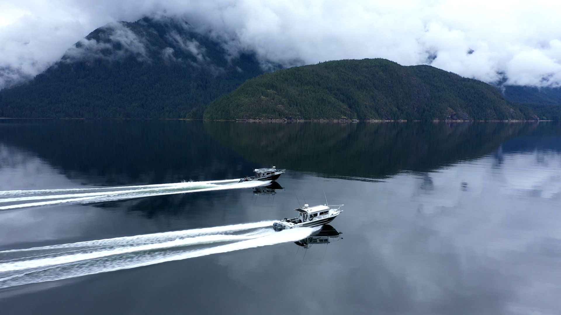 Toba Springtime and Science