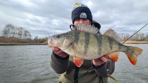 Perch Cup 2021 Perch Cup 2021 - Staffel 1 Folge 8: Folge 8