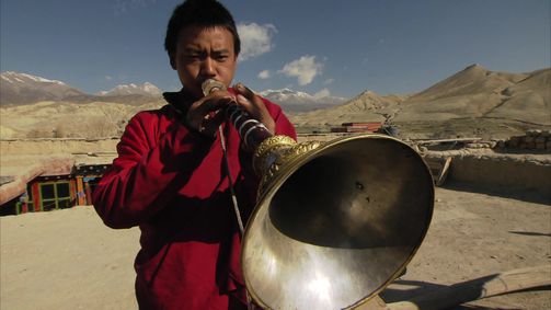 Planet Weltweit Planet Weltweit - Staffel 15 Folge 13: Mustang - Flucht aus den Bergen