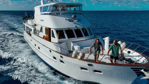 South Seas Spearo South Seas Spearo - Staffel 2 Folge 7: Bay of Islands Exploration