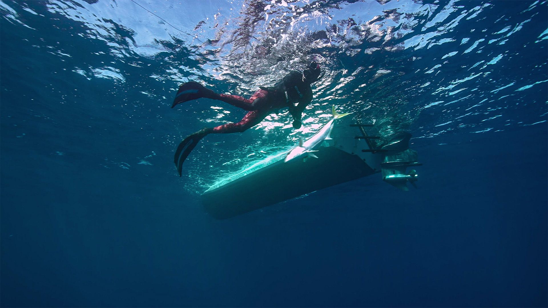 Yellowfin Mission