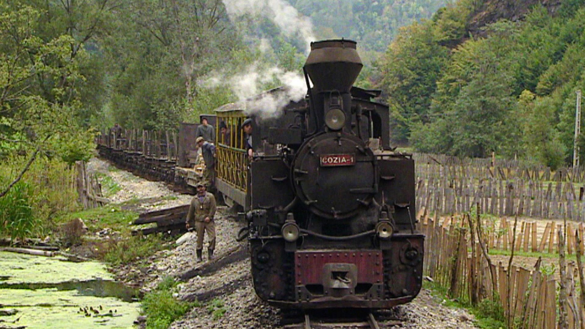 Die Waldbahn der Karpaten