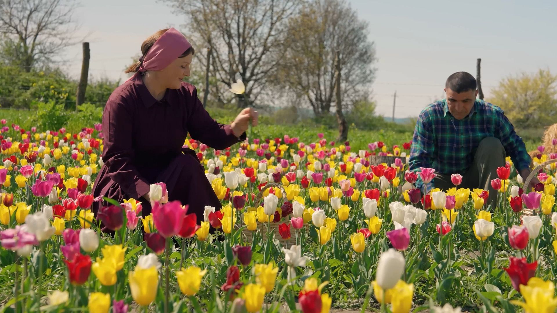 Tulpenblütenbutter