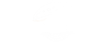 The New Fly Fisher